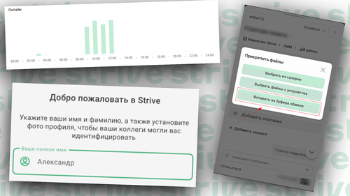 Что нового в Strive на 08.11.2024