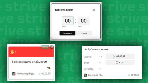 Что нового в Strive на 20.12.2024